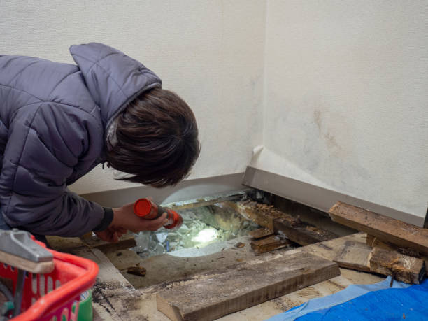 Best Indoor Air Quality Assessment  in Jefferson, MD