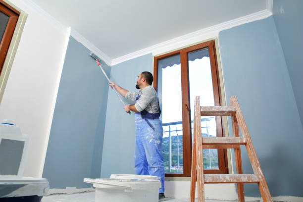Best Mold Removal for HVAC Installations  in Jefferson, MD