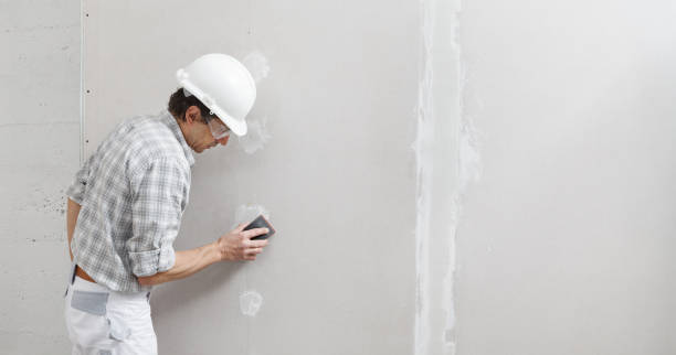 Best Residential Mold Inspection & Testing  in Jefferson, MD