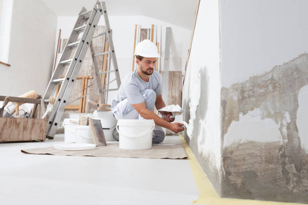 Best Water Damage & Mold Remediation  in Jefferson, MD