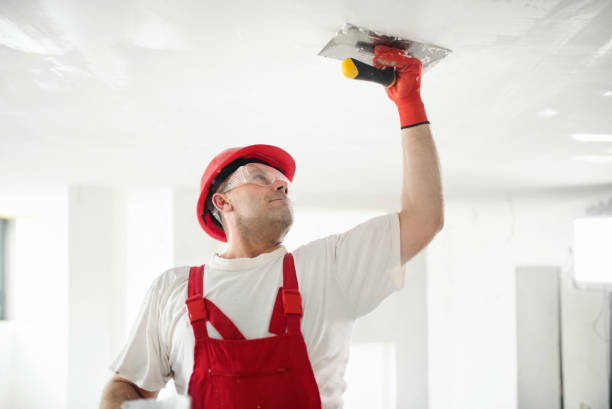 Best Air Quality Testing for Mold Spores  in Jefferson, MD
