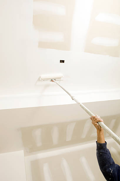 Best Mold Damage Restoration  in Jefferson, MD