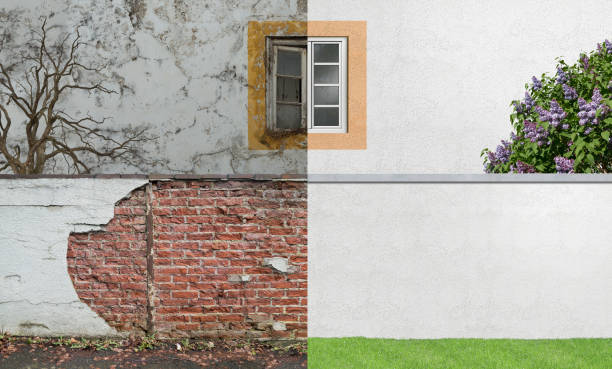 Best Real Estate Mold Inspection  in Jefferson, MD