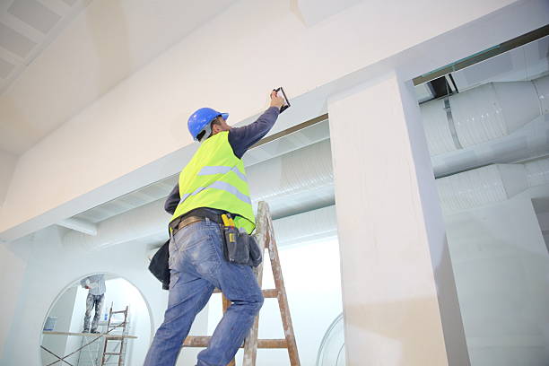 Best Emergency Mold Remediation  in Jefferson, MD