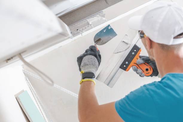 Environmental Consulting for Mold Prevention in Jefferson, MD